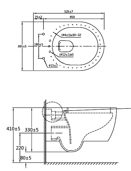 SSWW Унитаз с крышкой-сиденьем CT2076