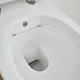 SSWW Унитаз-биде подвесной, белый CT2039V-B