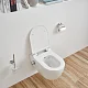 SSWW Унитаз-биде подвесной, белый CT2039V-B