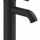 GROHE Essence чёрный матовый 24172KF1 Смеситель для раковины