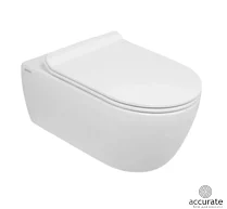 SSWW Унитаз с крышкой-сиденьем CT2076