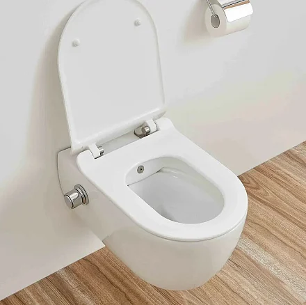 SSWW Унитаз-биде подвесной, белый CT2039V-B