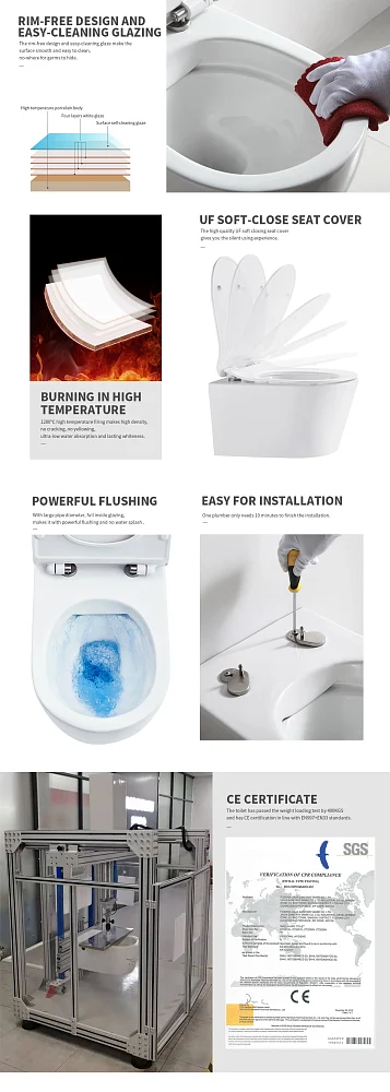 SSWW Унитаз с крышкой-сиденьем CT2076