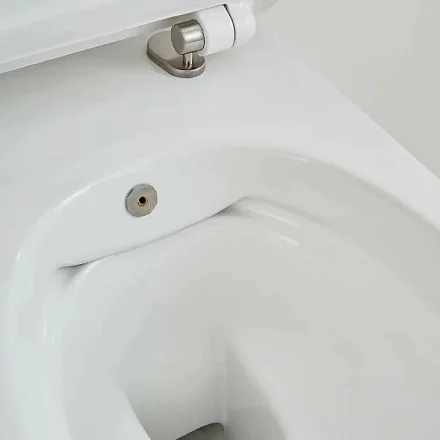 SSWW Унитаз-биде подвесной, белый CT2039V-B
