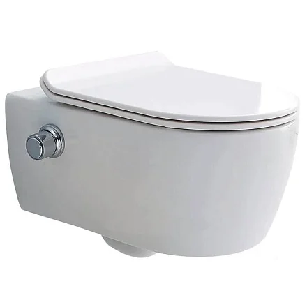 SSWW Унитаз-биде подвесной, белый CT2039V-B