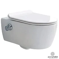 SSWW Унитаз-биде подвесной, белый CT2039V-B