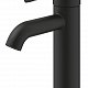 GROHE Essence чёрный матовый 24172KF1 Смеситель для раковины